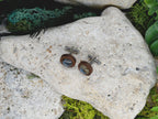 Wood Cufflinks with Labradorite Stone #169