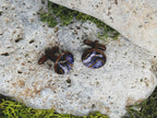Copper Steel Cufflinks with Abstract Marble Glass #150