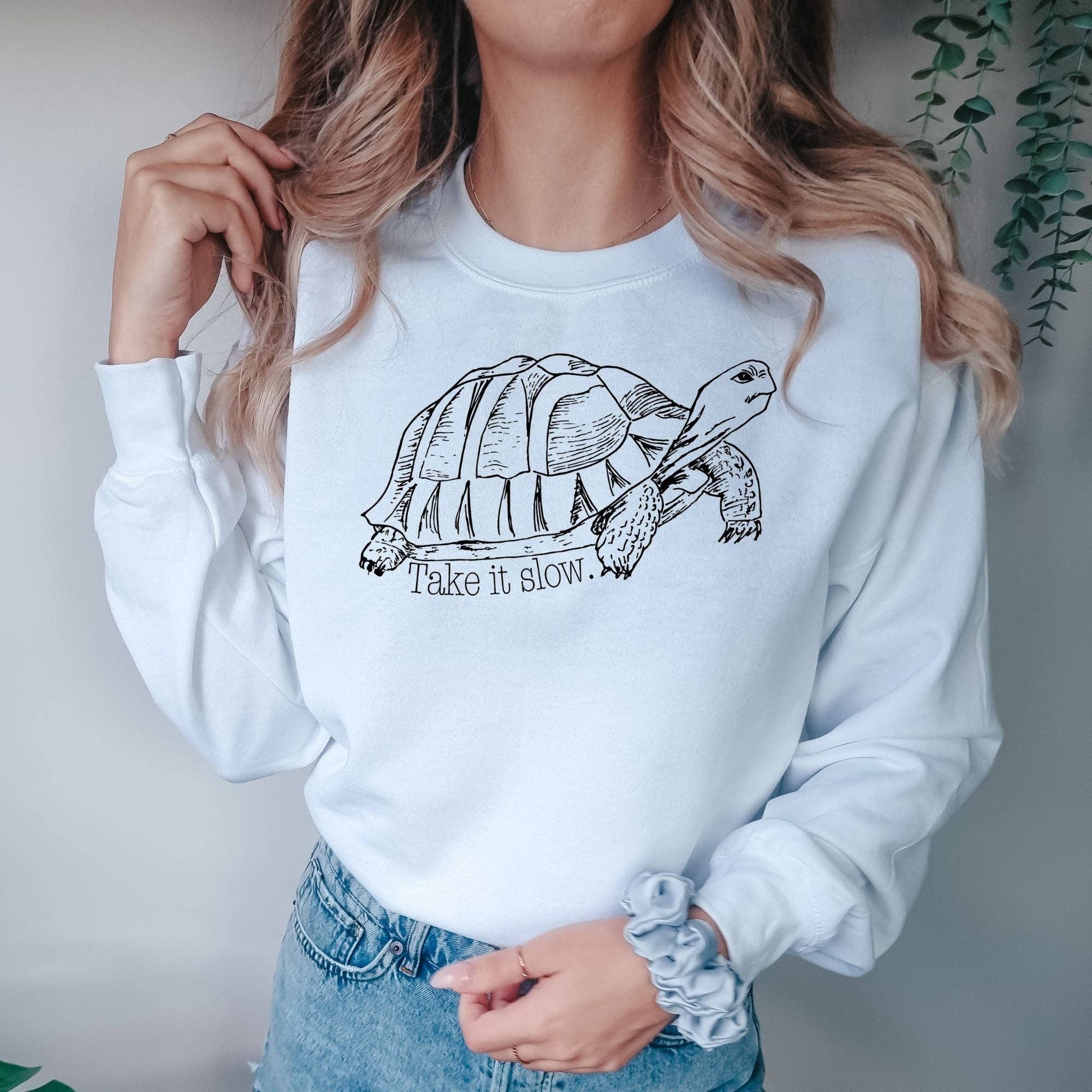 Take It Slow Funny Turtle Unisex Crewneck/Hoodie Sweatshirt
