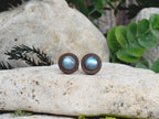 Wood Cufflinks with Labradorite Stone #170