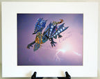 Dragon Matted Photographic Art Prints